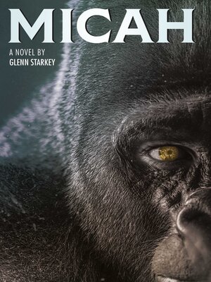 cover image of Micah